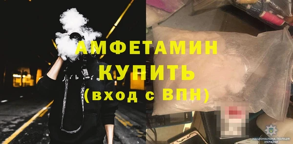 индика Новозыбков