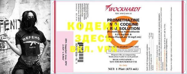 индика Иннополис