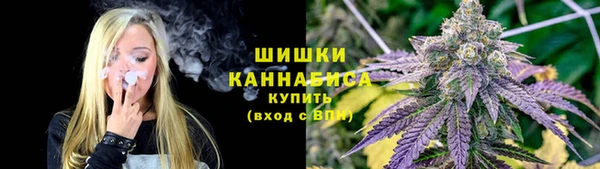 стафф Новодвинск