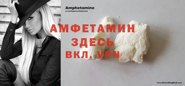 индика Иннополис