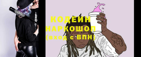 индика Иннополис