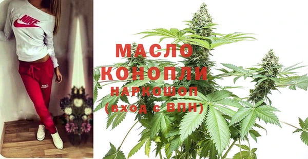 индика Иннополис