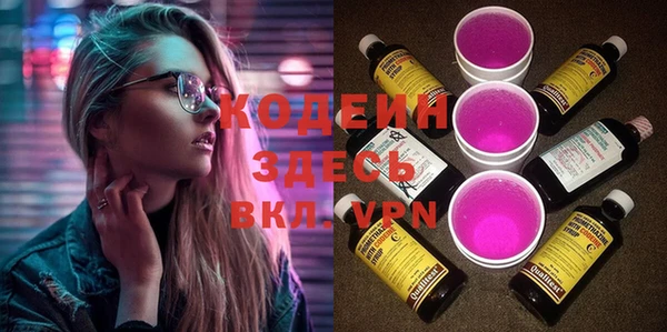 индика Иннополис
