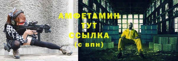 индика Иннополис
