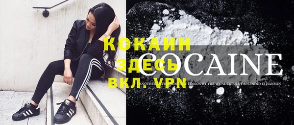 индика Иннополис