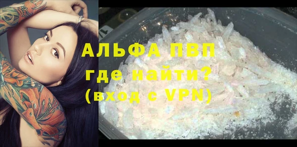 сатива Михайловск