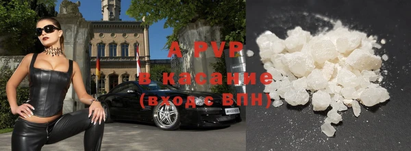 индика Иннополис