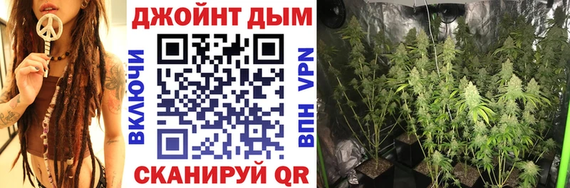 Каннабис Ganja  это как зайти  Дмитриев 
